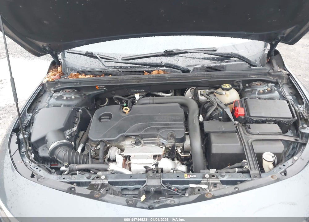 2019 CHEVROLET MALIBU LT VIN: 1G1ZD5ST9KF223842
