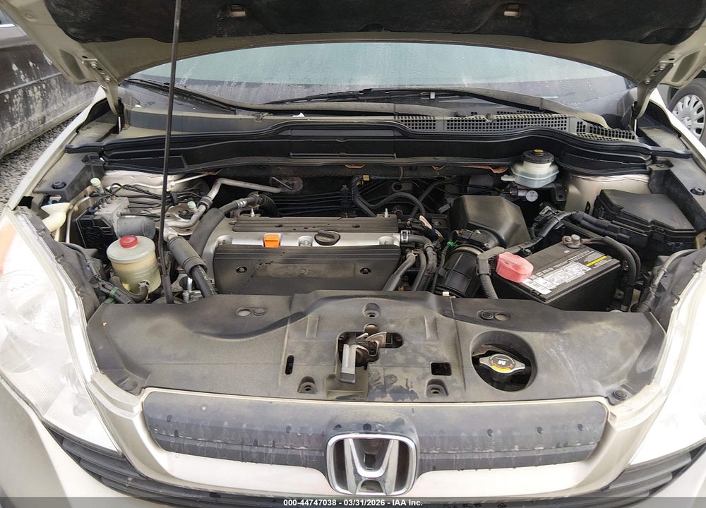 2007 HONDA CR-V LX VIN: JHLRE38317C005244
