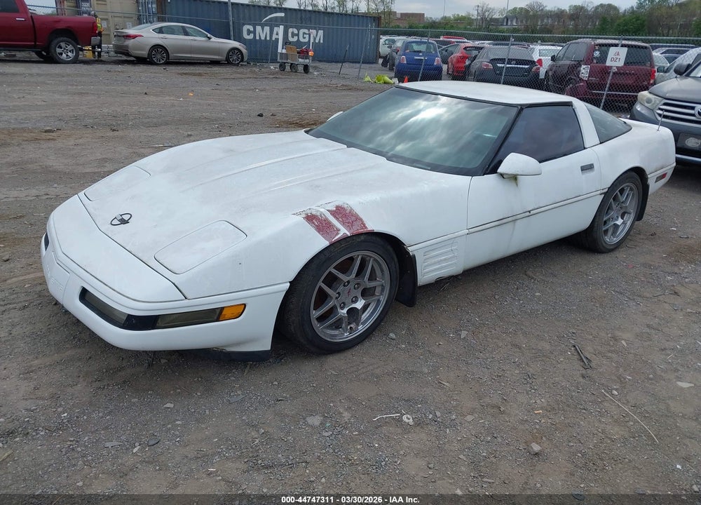 1993 CHEVROLET CORVETTE VIN: 1G1YY23P6P5116275