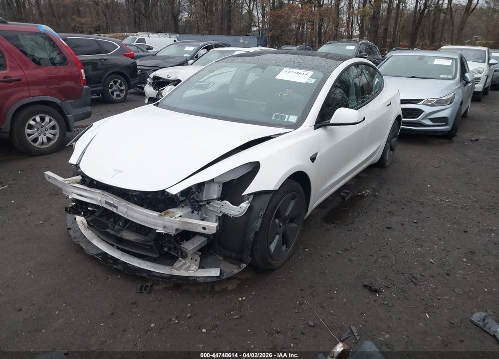 2023 TESLA MODEL 3 REAR-WHEEL DRIVE VIN: 5YJ3E1EA3PF565991