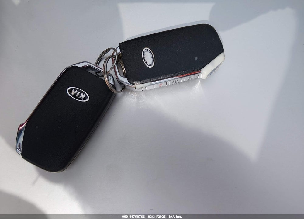 2020 KIA TELLURIDE SX VIN: 5XYP5DHC7LG045179