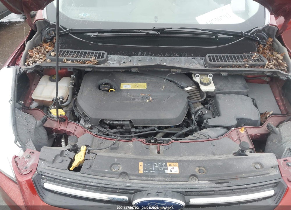 2014 FORD ESCAPE SE VIN: 1FMCU0GX8EUA91213