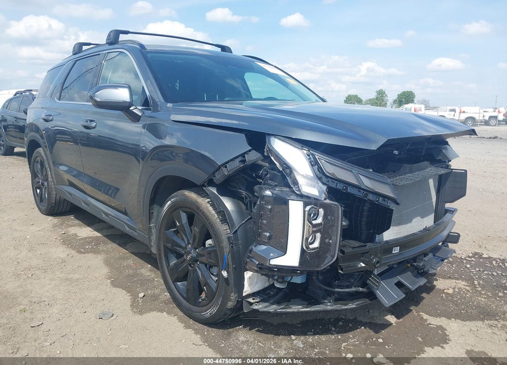 2024 HYUNDAI PALISADE XRT VIN: KM8R34GEXRU680885