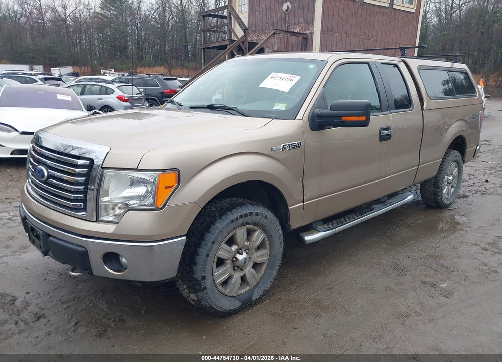 2011 FORD F-150 XLT VIN: 1FTFX1EF5BFD19242