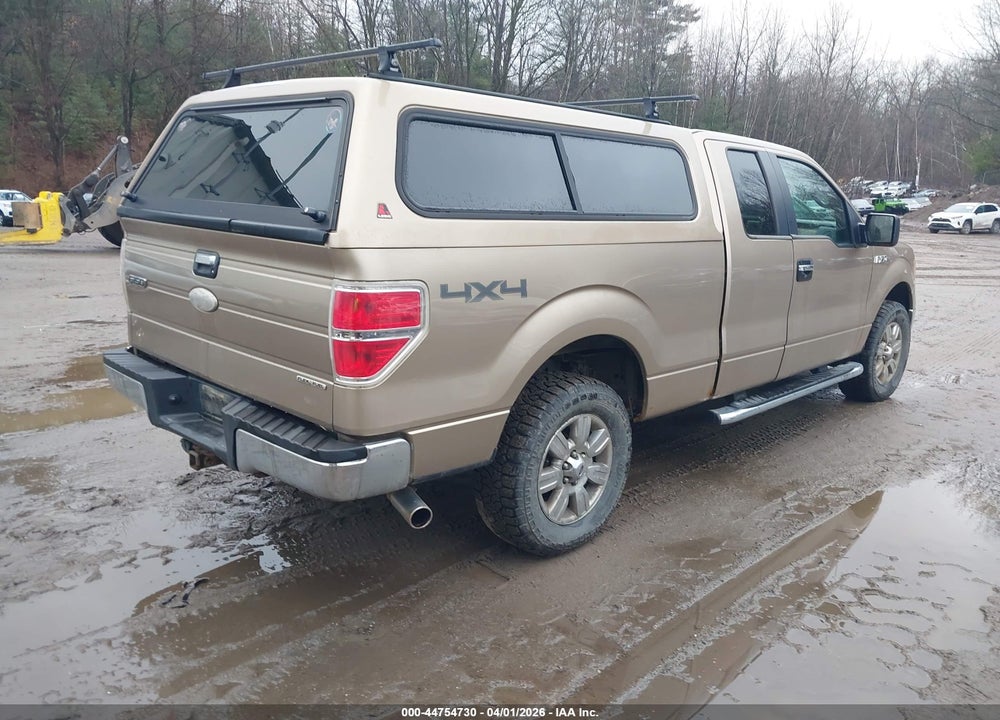2011 FORD F-150 XLT VIN: 1FTFX1EF5BFD19242