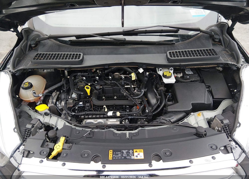 2019 FORD ESCAPE SEL VIN: 1FMCU0HD7KUB79282