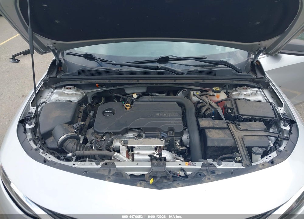 2019 CHEVROLET MALIBU 1LS VIN: 1G1ZB5ST2KF188535