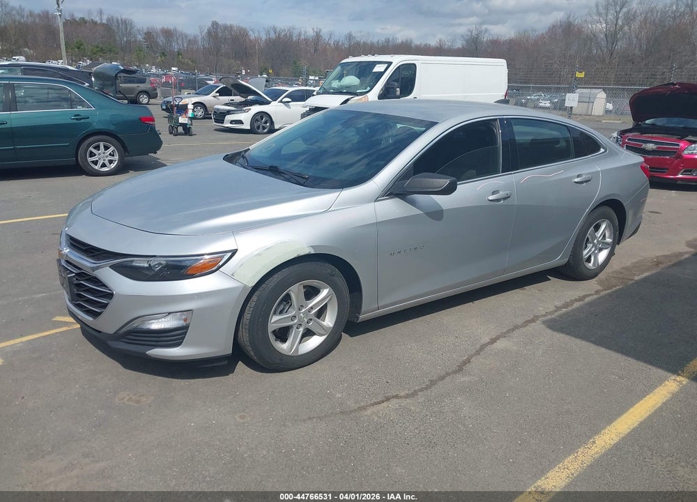 2019 CHEVROLET MALIBU 1LS VIN: 1G1ZB5ST2KF188535