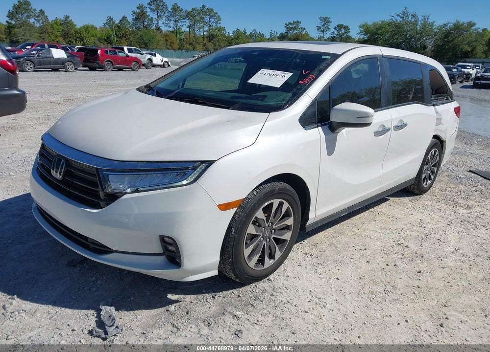2024 HONDA ODYSSEY EX-L VIN: 5FNRL6H6XRB068881