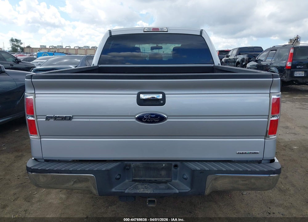 2013 FORD F-150 XLT VIN: 1FTEW1CM9DKD16838