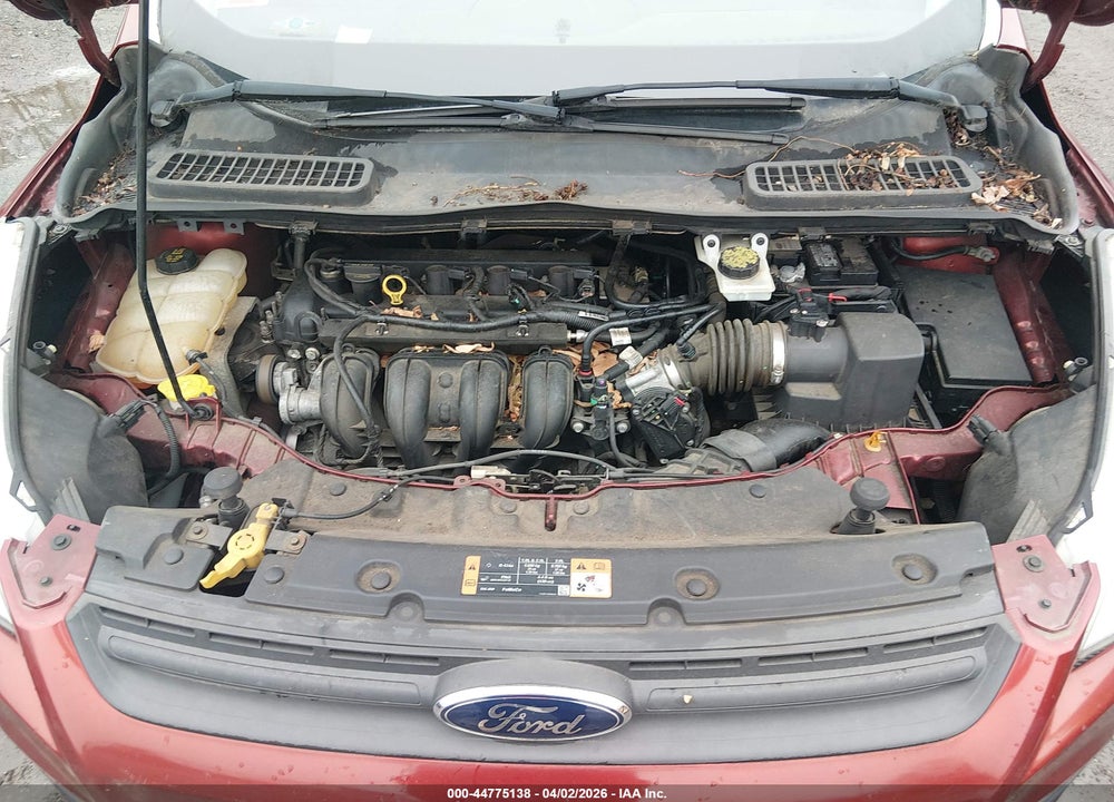 2014 FORD ESCAPE S VIN: 1FMCU0F7XEUA98052