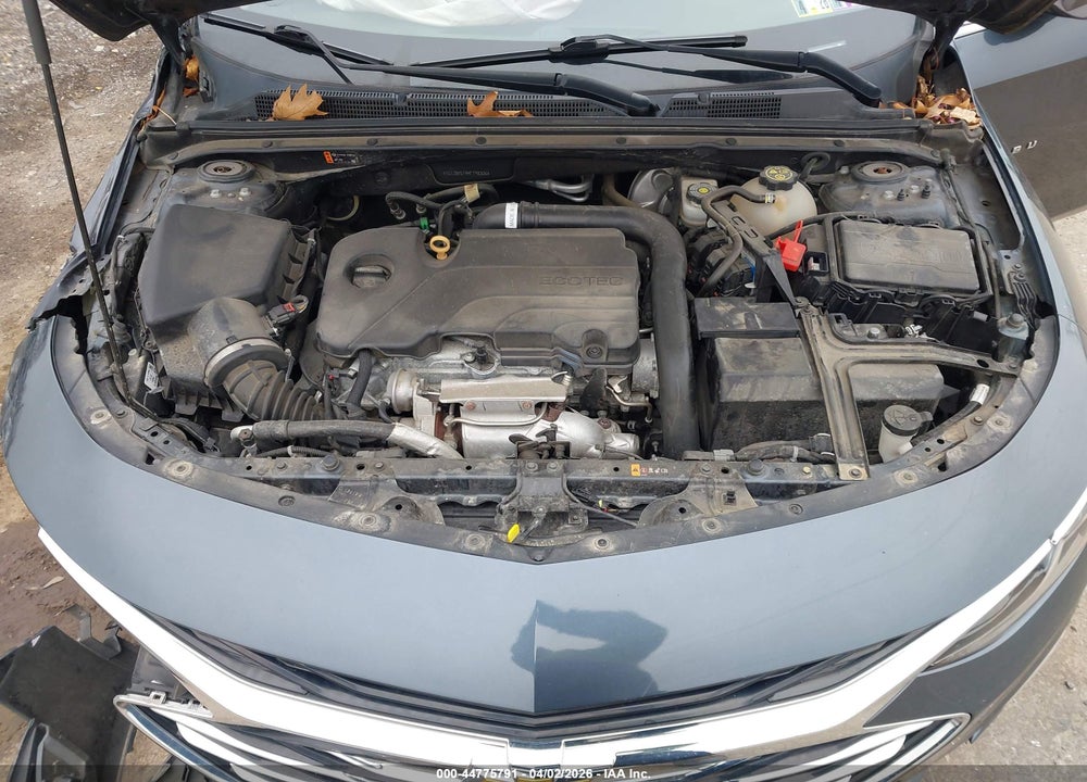 2019 CHEVROLET MALIBU 1LS VIN: 1G1ZB5ST4KF198306