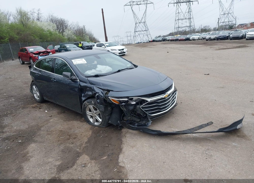 2019 CHEVROLET MALIBU 1LS VIN: 1G1ZB5ST4KF198306