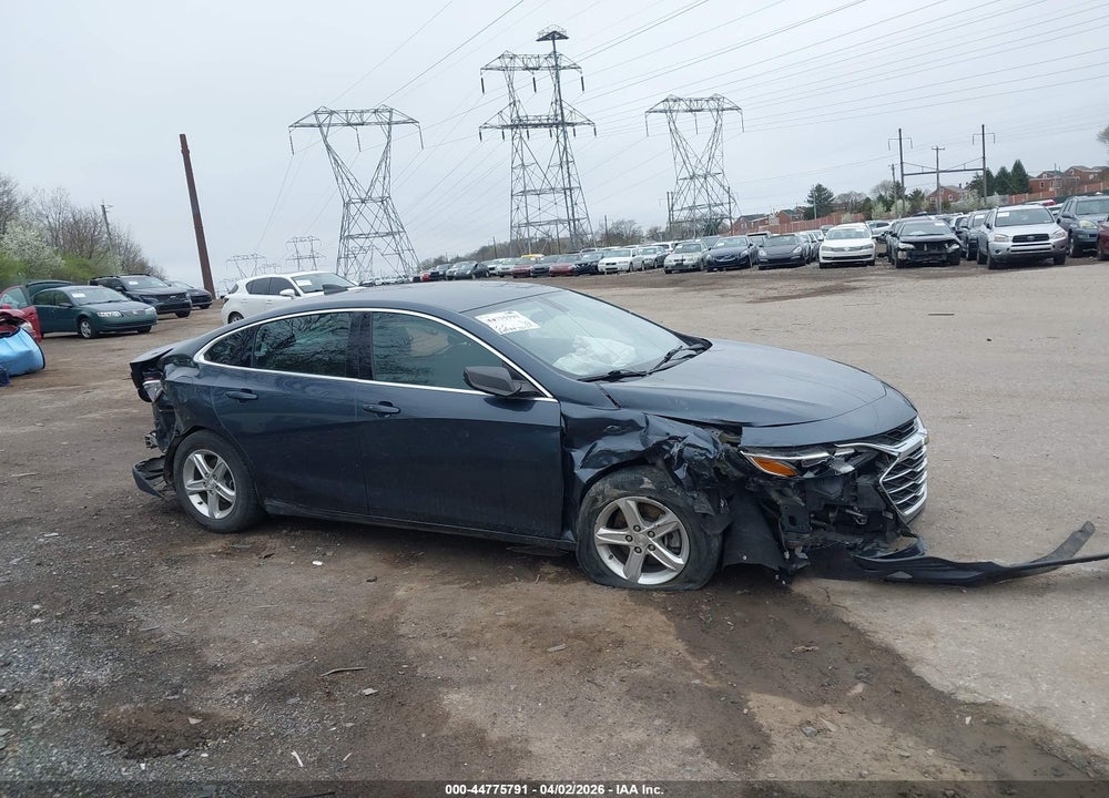 2019 CHEVROLET MALIBU 1LS VIN: 1G1ZB5ST4KF198306