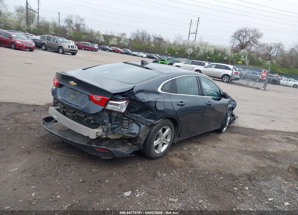 2019 CHEVROLET MALIBU 1LS VIN: 1G1ZB5ST4KF198306