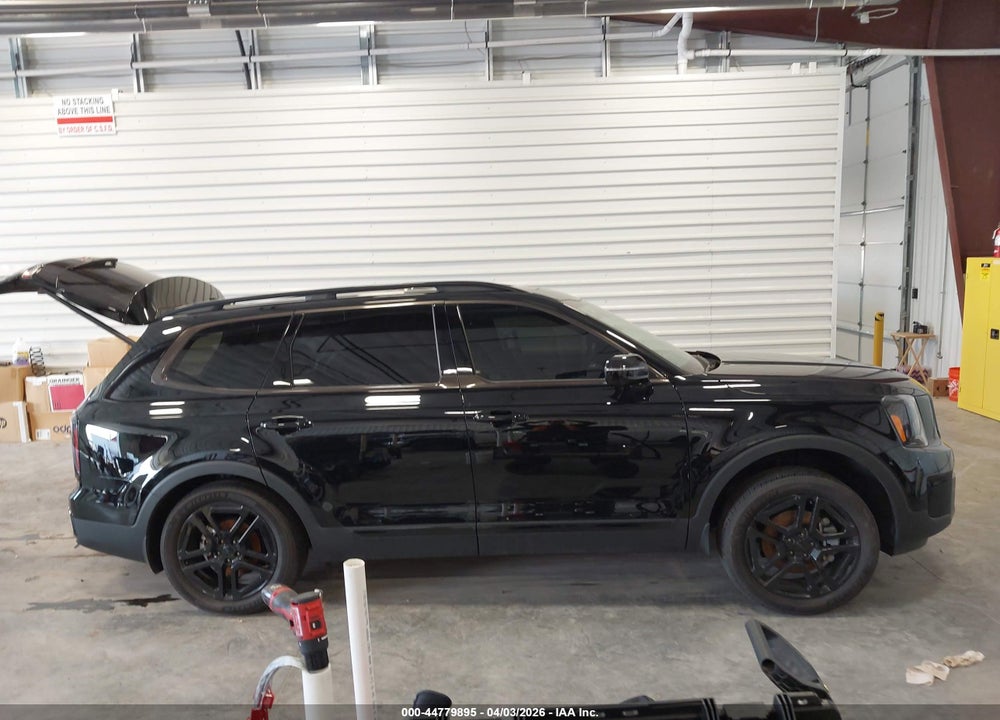 2025 KIA TELLURIDE SX X-LINE VIN: 5XYP5DGC5SG673712