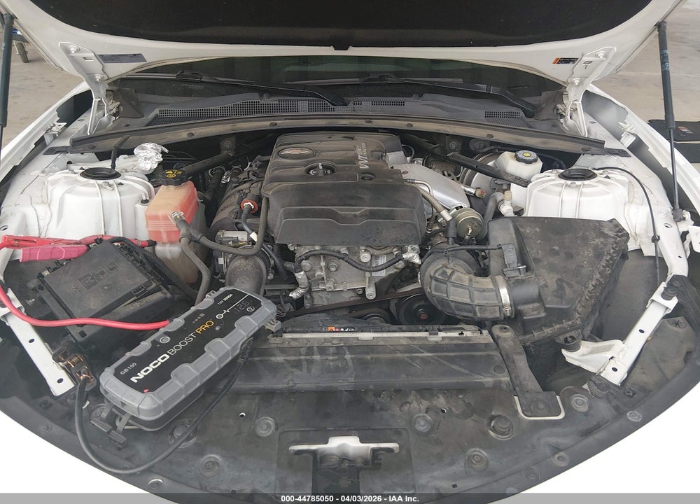 2019 CHEVROLET CAMARO 3LT VIN: 1G1FD3DX1K0101163