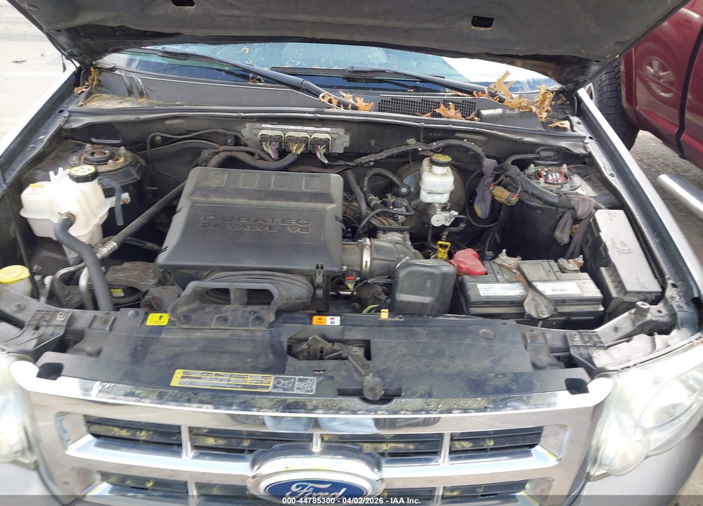 2010 FORD ESCAPE XLT VIN: 1FMCU9DG9AKD30525