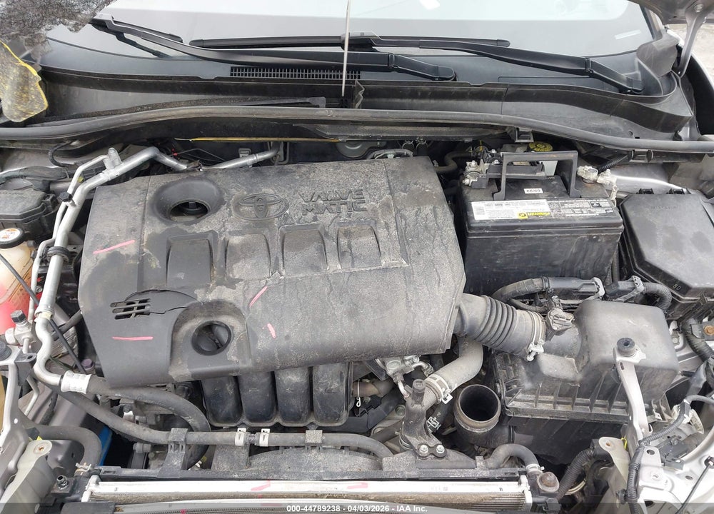2019 TOYOTA C-HR XLE VIN: JTNKHMBX7K1039339