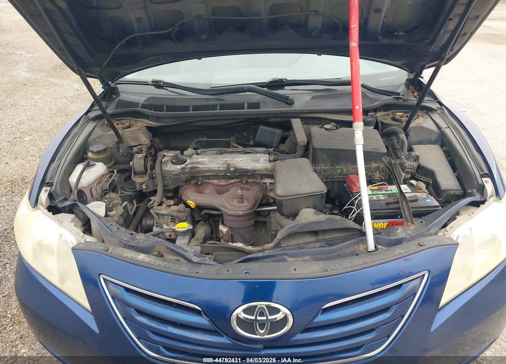 2009 TOYOTA CAMRY XLE VIN: JTNBE46K393162237
