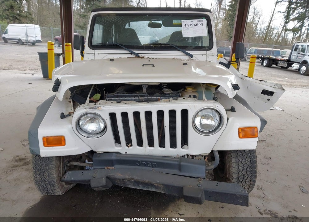 2002 JEEP WRANGLER SE VIN: 1J4FA29PX2P769595