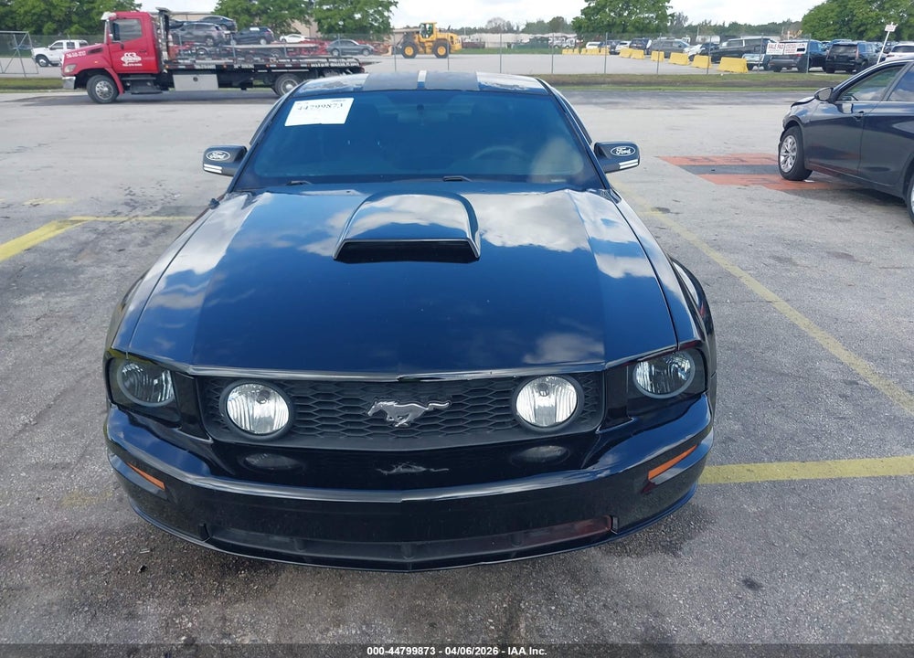 2006 FORD MUSTANG VIN: 1ZVHT82H365250577