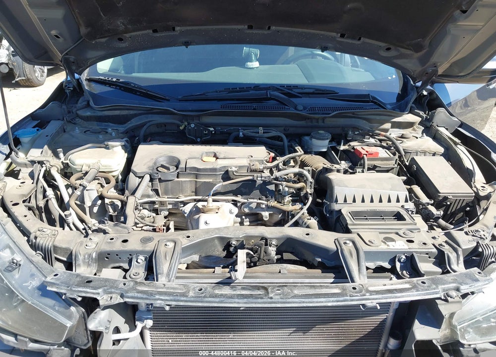 2019 HONDA CIVIC LX VIN: 2HGFC2F65KH566633
