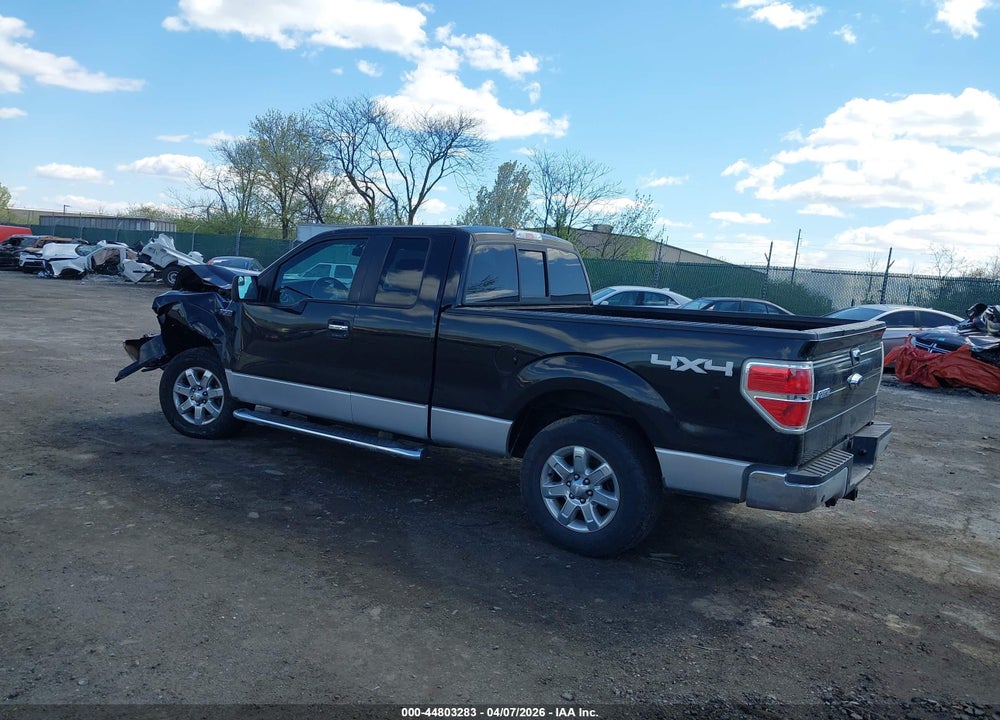 2013 FORD F-150 XLT VIN: 1FTFX1EF8DKD21741