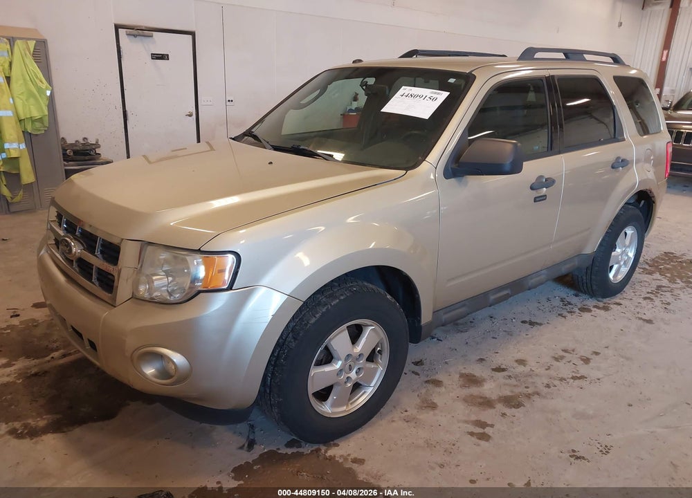 2011 FORD ESCAPE XLT VIN: 1FMCU0DG8BKB80016