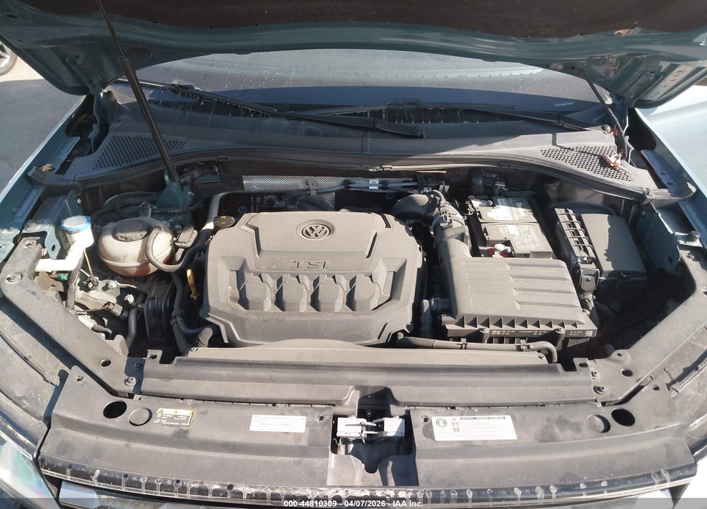 2019 VOLKSWAGEN TIGUAN 2.0T S VIN: 3VV1B7AX8KM164634