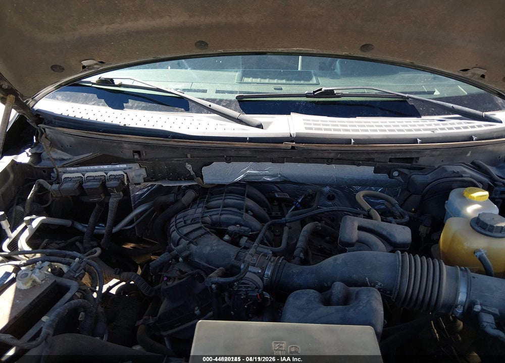 2014 FORD F-150 XL VIN: 1FTMF1EM8EKE59919