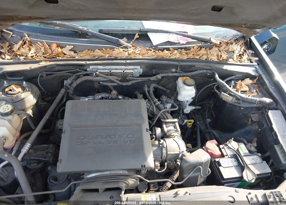 2011 FORD ESCAPE XLT VIN: 1FMCU0DGXBKB95956