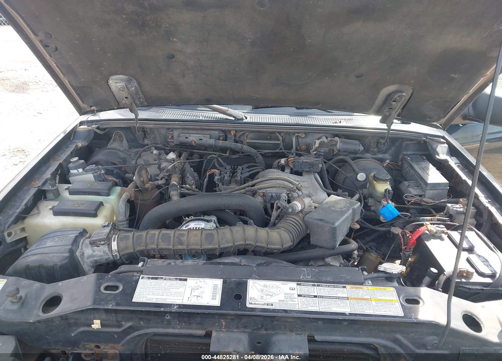 1998 FORD RANGER SPLASH/XL/XLT VIN: 1FTYR14U8WPB61689