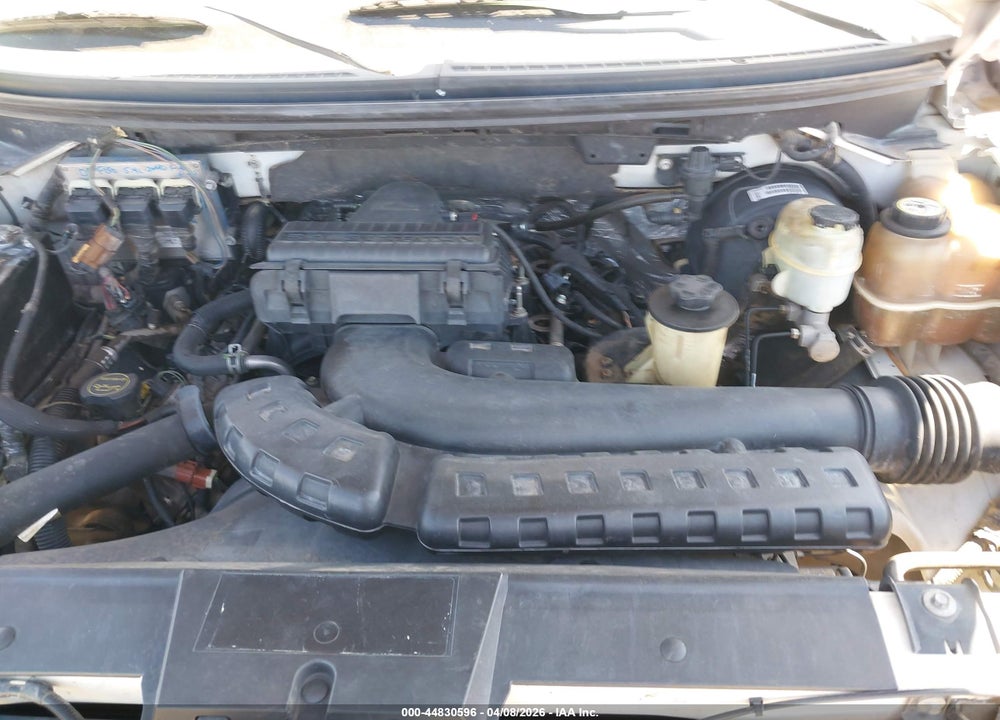 2008 FORD F-150 FX2/STX/XL/XLT VIN: 1FTRF12V38KD44507