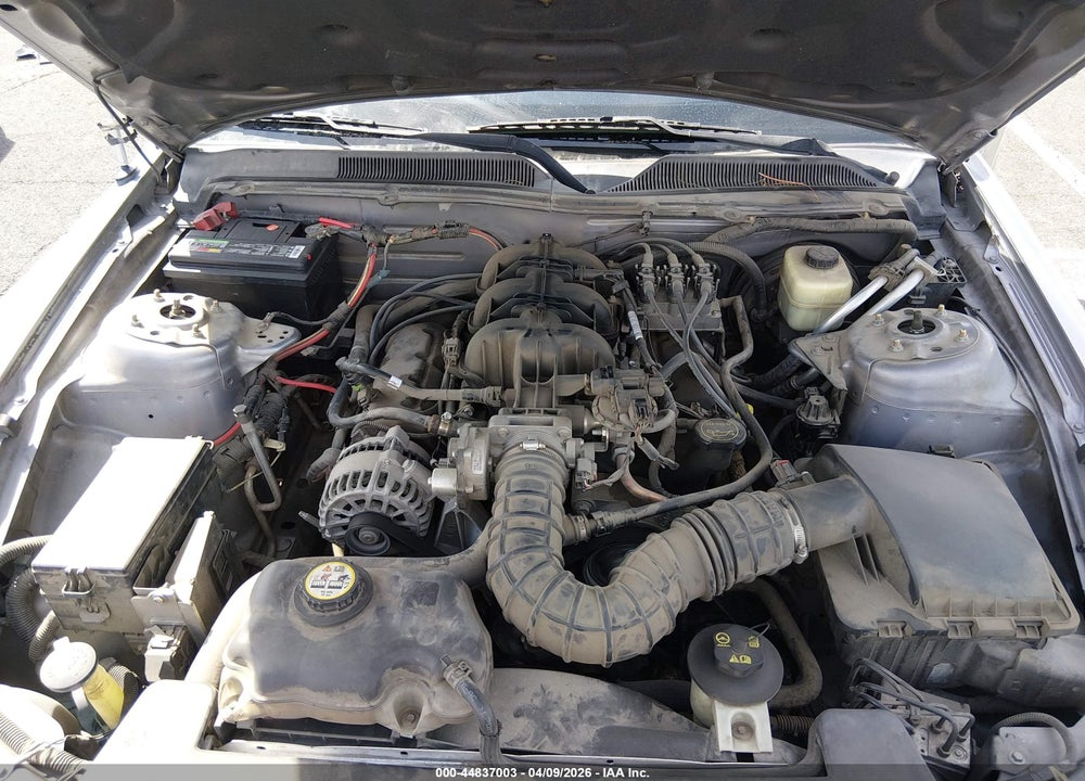 2006 FORD MUSTANG V6 VIN: 1ZVFT80N565265744