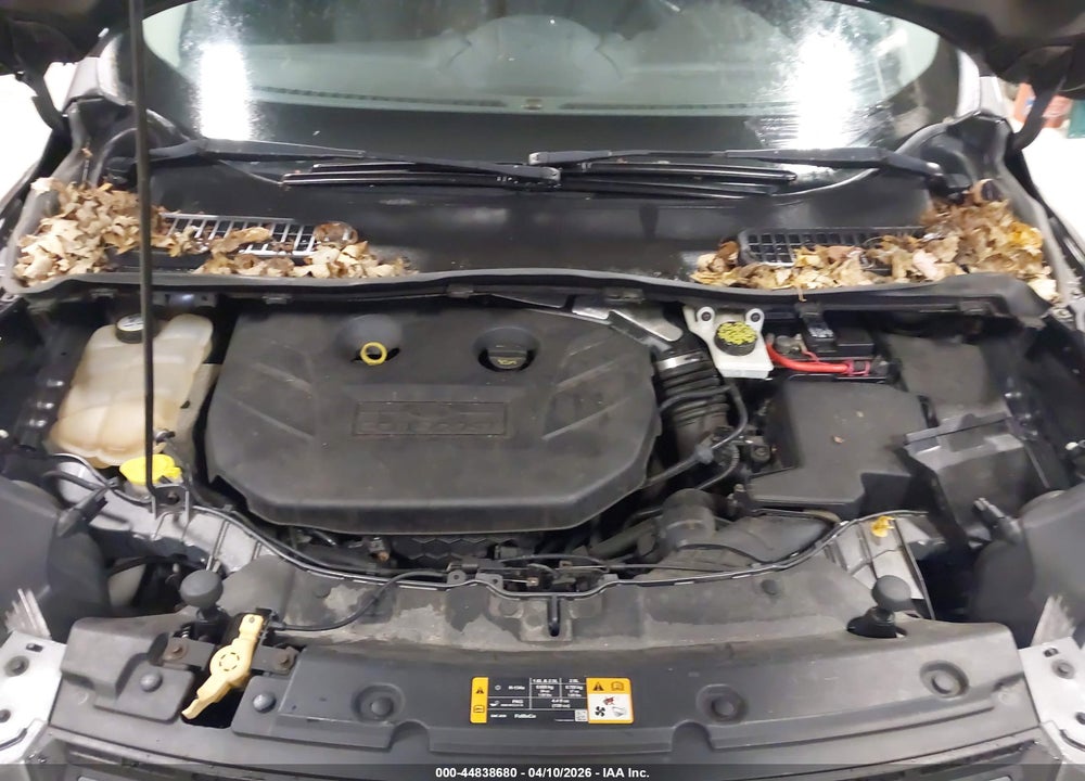 2013 FORD ESCAPE SE VIN: 1FMCU0G99DUA73786