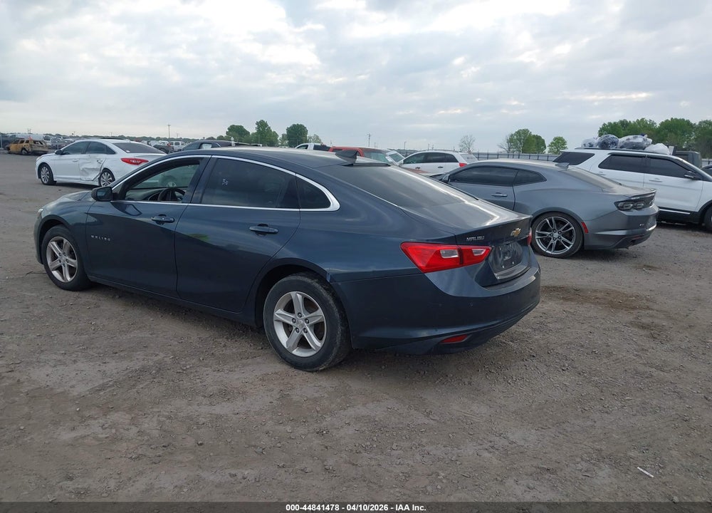 2019 CHEVROLET MALIBU 1FL VIN: 1G1ZC5ST9KF218014