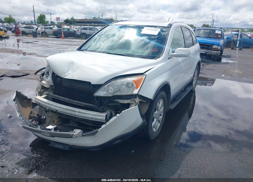 2009 HONDA CR-V EX-L VIN: JHLRE48749C000955