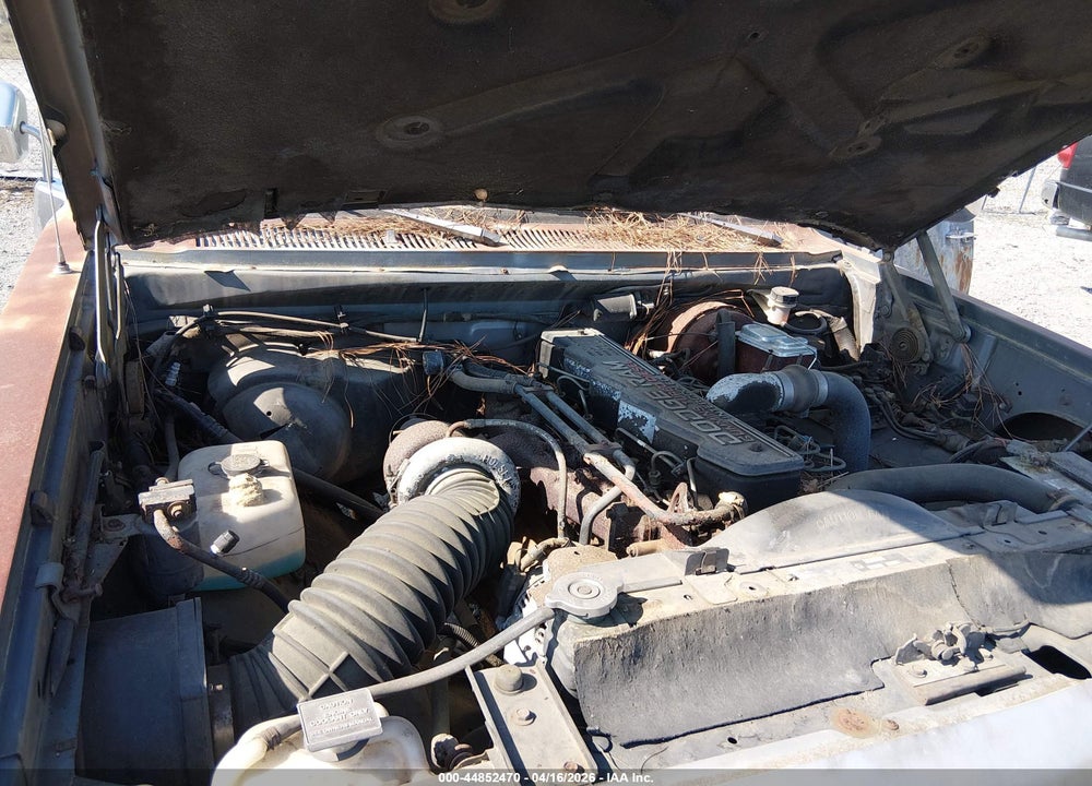 1992 DODGE D-SERIES D200/D250 VIN: 1B7KE26C6NS519430
