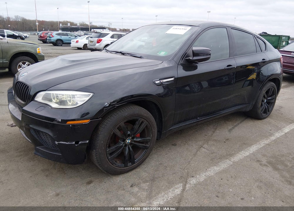 2013 BMW X6 M VIN: 5YMGZ0C51DLL30009