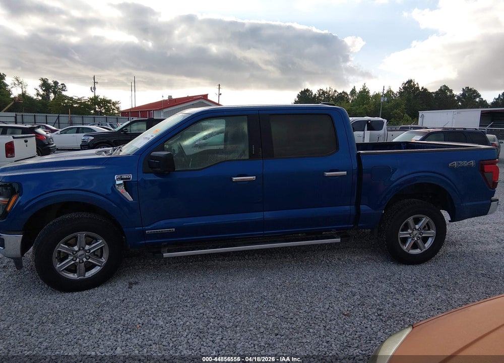 2024 FORD F-150 XLT VIN: 1FTFW3LD1RFA47959