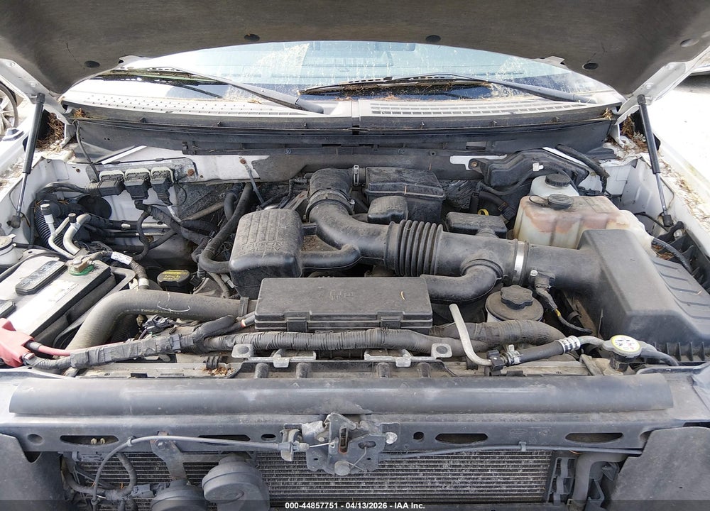 2010 FORD F-150 FX4/LARIAT/XL/XLT VIN: 1FTFX1EV8AFA24352