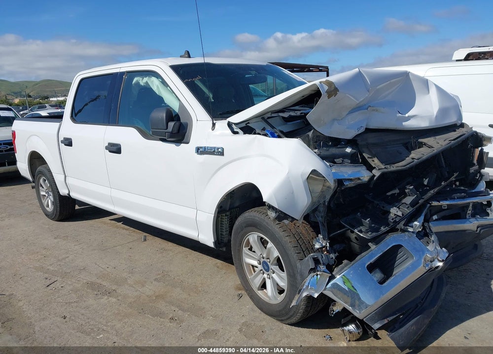 2019 FORD F-150 XLT VIN: 1FTEW1CP2KKE52980