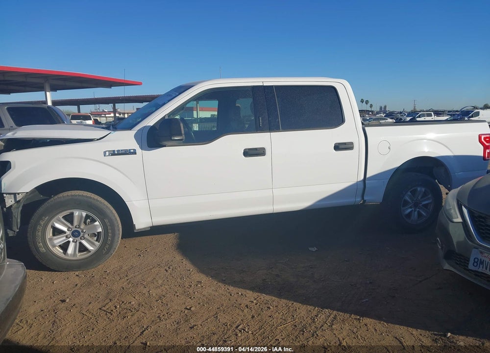 2019 FORD F-150 XLT VIN: 1FTEW1CP8KKE41319