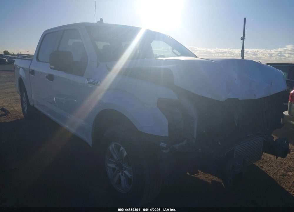 2019 FORD F-150 XLT VIN: 1FTEW1CP8KKE41319