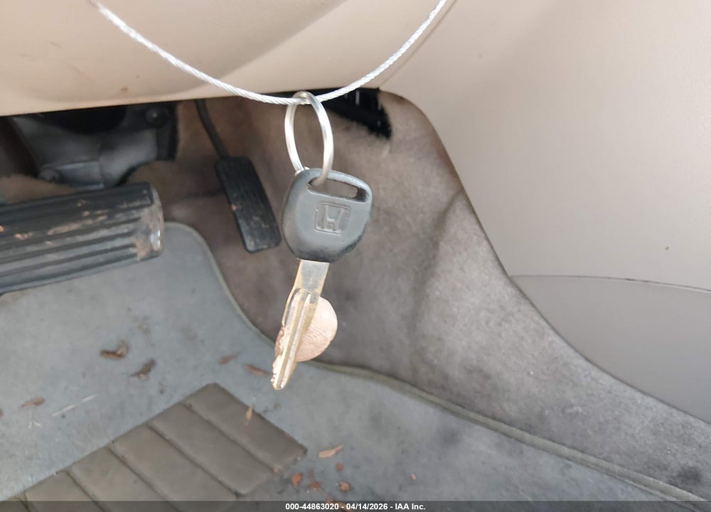 1997 HONDA ACCORD LX VIN: 1HGCD7234VA019770