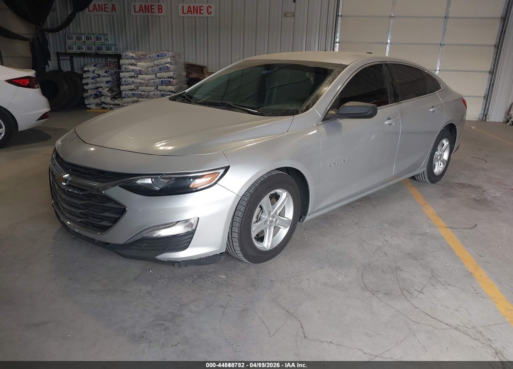 2019 CHEVROLET MALIBU 1FL VIN: 1G1ZC5ST6KF202952