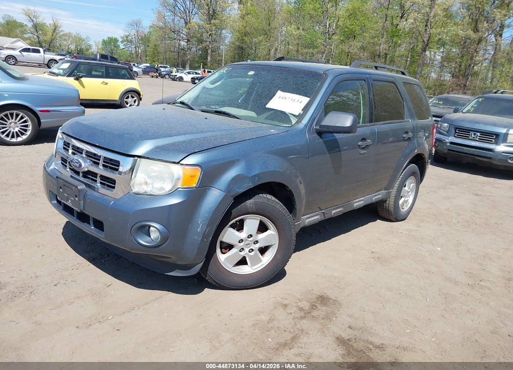 2011 FORD ESCAPE XLT VIN: 1FMCU0D73BKA16026