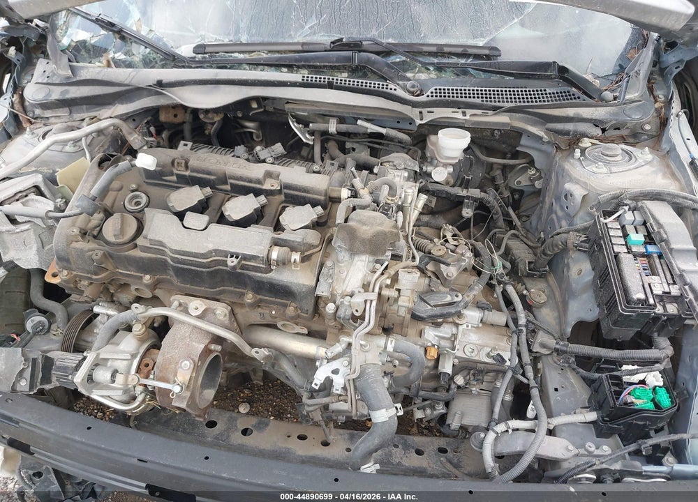 2019 HONDA CIVIC VIN: SHHFK8G76KU206562