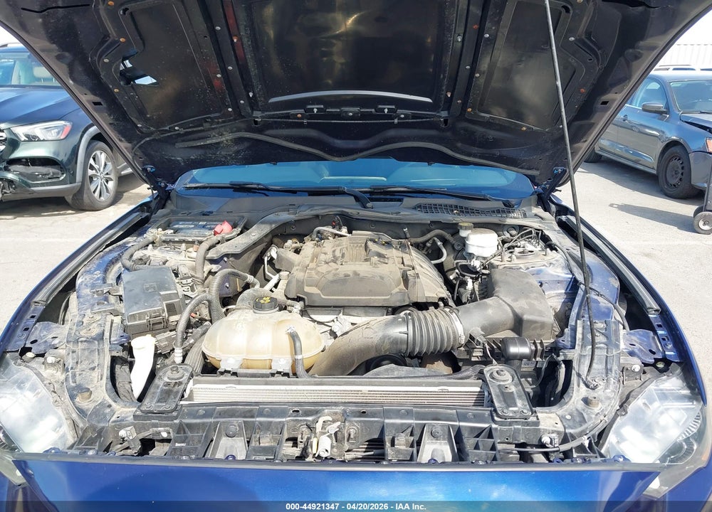 2019 FORD MUSTANG VIN: 1FA6P8TH0K5184261